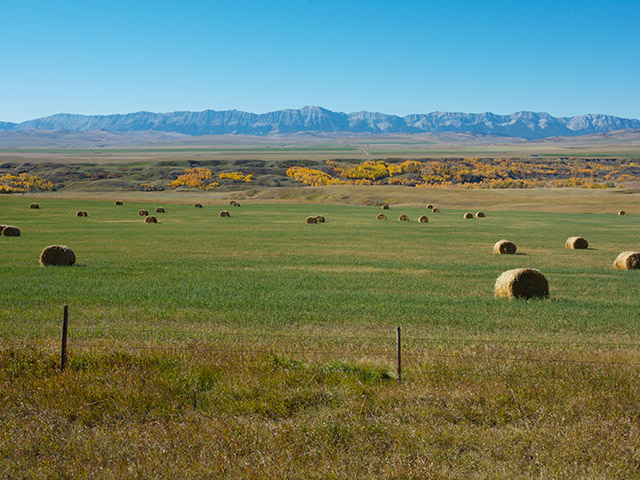 West view of Rocky Mountains from Green Haven Okotoks Alberta